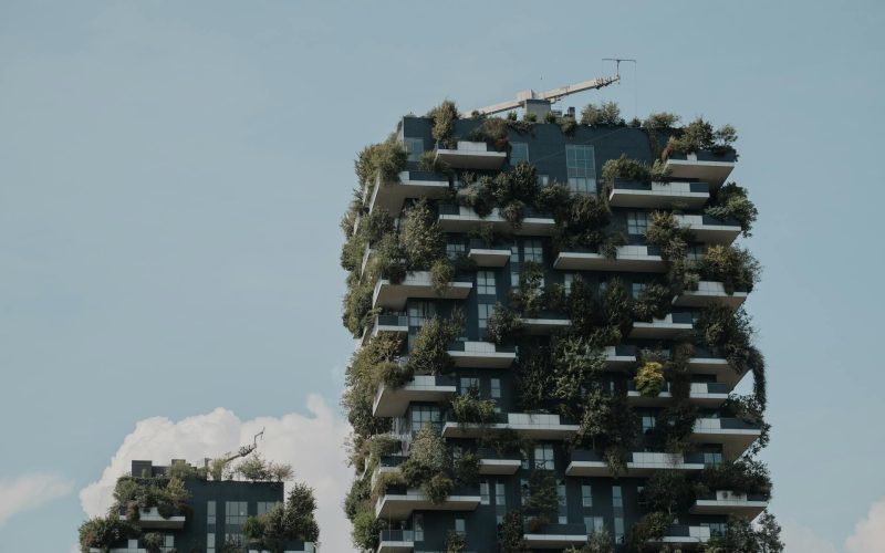 The Rise of the Chief Sustainability Officer (CSO): Leading the Charge towards Corporate Social Responsibility and Environmental Stewardship